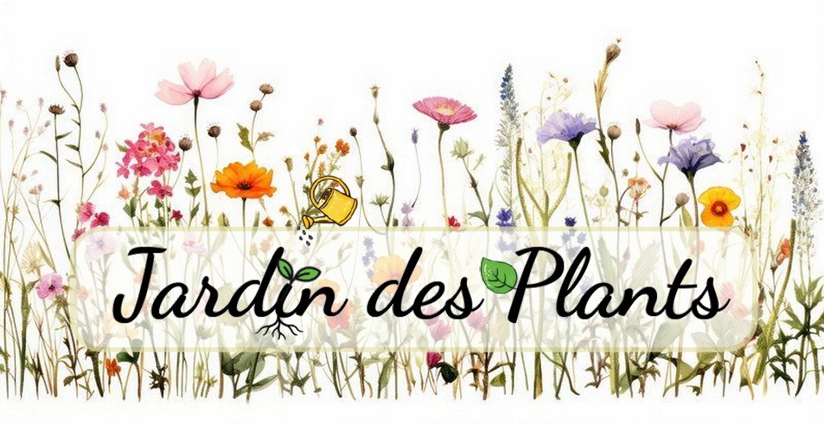 Production de plants de légumes bio et de plantes ornementales